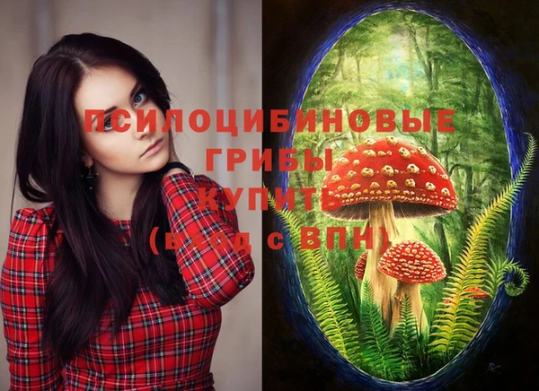 MESCALINE Богородицк