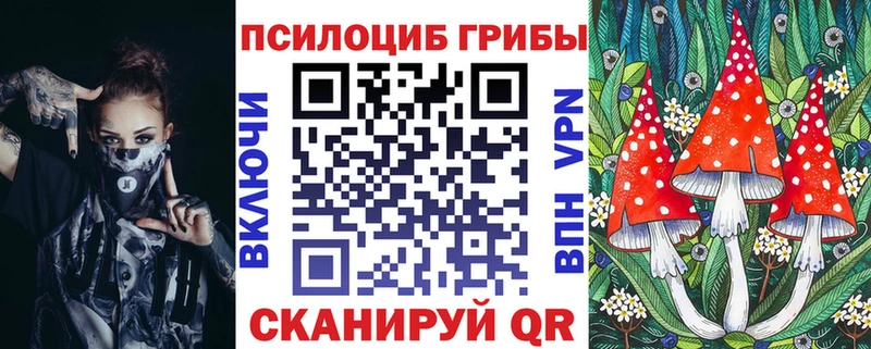 Псилоцибиновые грибы MAGIC MUSHROOMS  Княгинино 